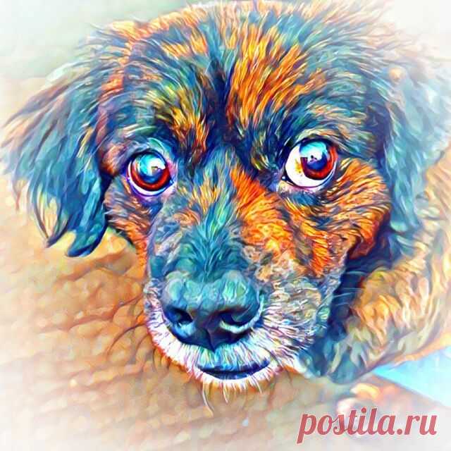 Коллекция фотоэффектов по тегу 