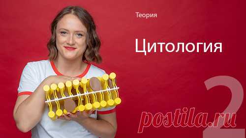 Подготовка ЕГЭ по Биологии 2025: онлайн-курс вебинаров. Андрей Степенин, Марагарита Журавкова, Ирина Коновалова