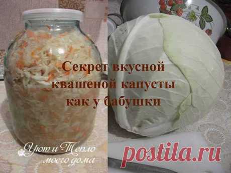Квашеная капуста – старинный классический рецепт как у бабушки | Уют и тепло моего дома