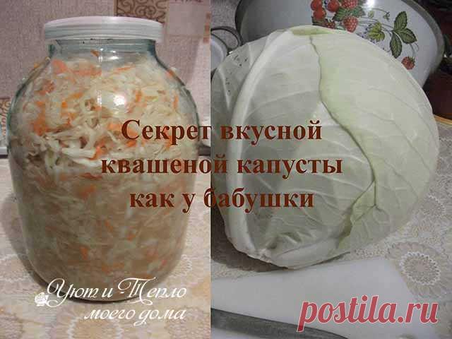 Квашеная капуста – старинный классический рецепт как у бабушки | Уют и тепло моего дома