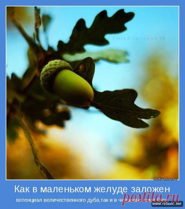 motivator_00034.jpg (640×720)