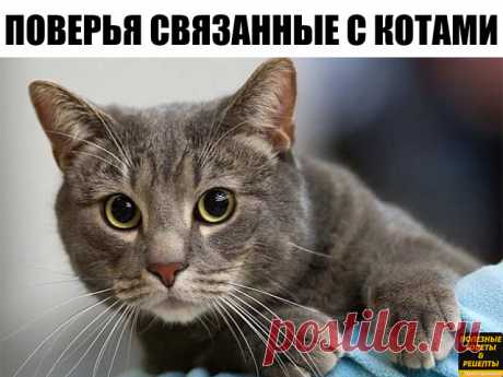 (86) Одноклассники