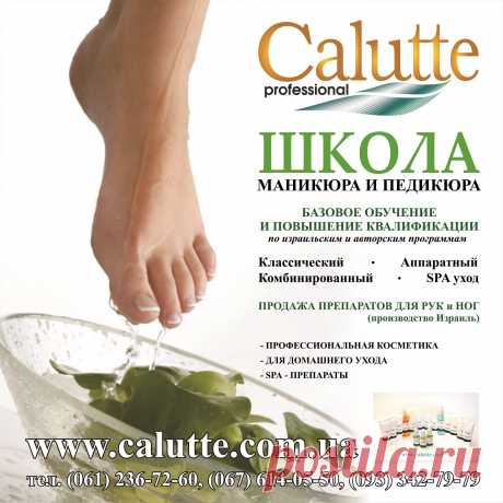 Международная школа &quot;Calutte&quot;