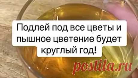 ДАЧНЫЕ СОВЕТЫ