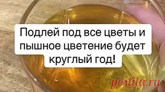 ДАЧНЫЕ СОВЕТЫ