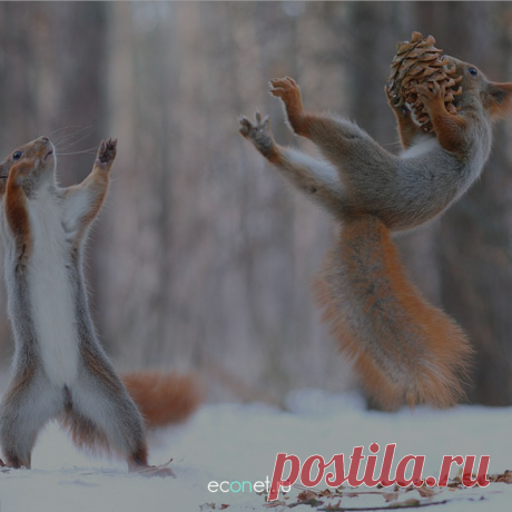 Развиваем дикцию! Я еле дочитала)))))))))))))