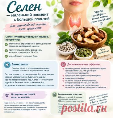 Селен для щитовидной железы