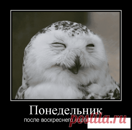 Прикольные позитивные картинки. Подборка прикольных картинок и фото №ofigennaja-prikol-11260319052020 | Офигенная