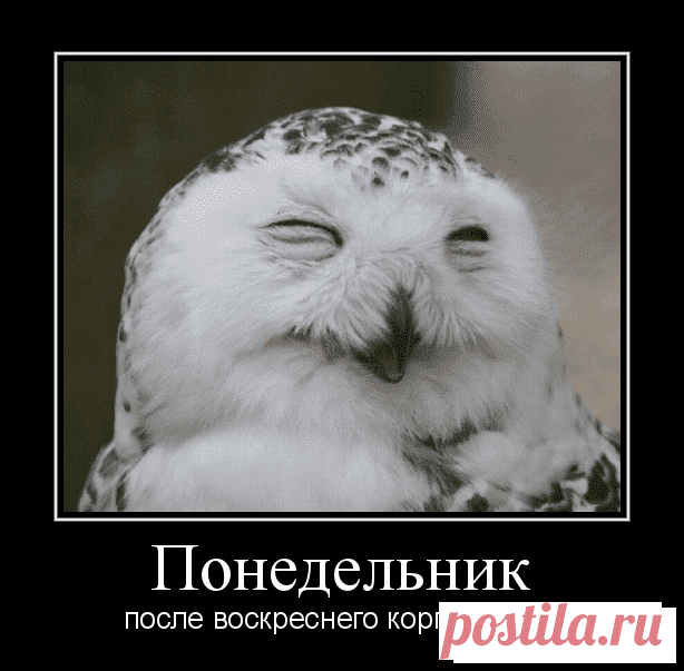 Прикольные позитивные картинки. Подборка прикольных картинок и фото №ofigennaja-prikol-11260319052020 | Офигенная