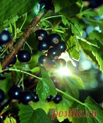 7я.ру - семья и дети!