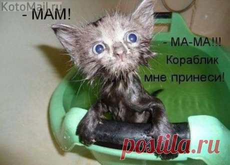 Принеси кораблик.