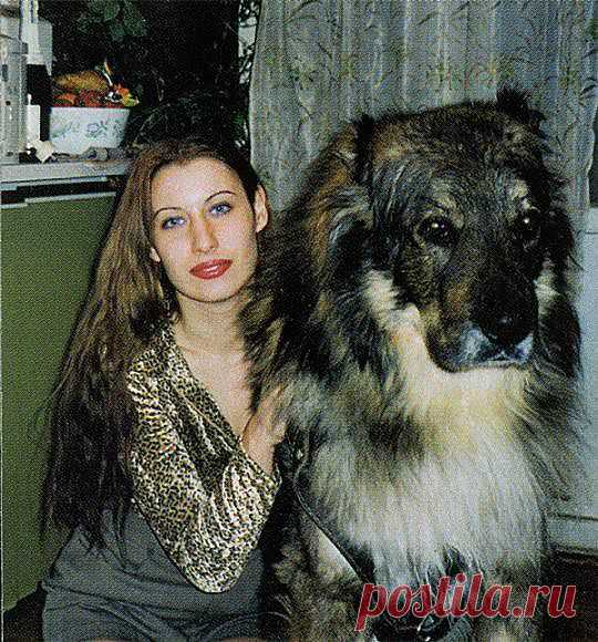 8. Кавказкая овчарка (такими же размерами обладает Алабай – Среднеазиатская овчарка)
Древнейшая из пород собак, существует уже более трех тысяч лет. Эта собака выше среднего роста. В холке её рост достигает: у сук, по стандарту, от 62 см, у кобелей от 65 см, но, как правило, эти собаки гораздо более рослые и достигают роста в холке более 70 см.
Рост кобеля начинается от 65 сантиметров.