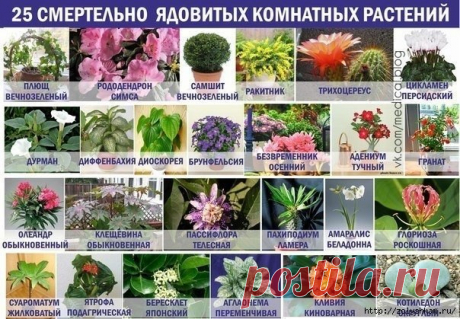 Сохранённые фотографии | 7 495 фотографий