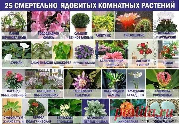Сохранённые фотографии | 7 495 фотографий