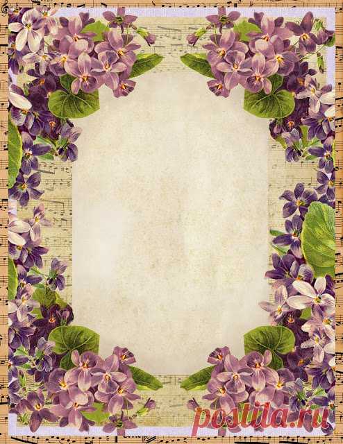 Lilac & Lavender: Sweet Violets Stationery