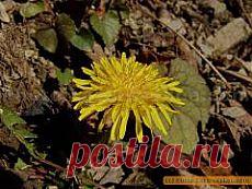 Как защитить свое зрение? | Красота и здоровье