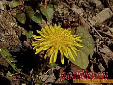 Как защитить свое зрение? | Красота и здоровье