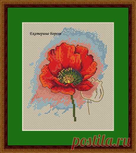 автор Екатерина Борега
