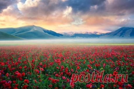 Цветочная долина, Перуджа, Италия