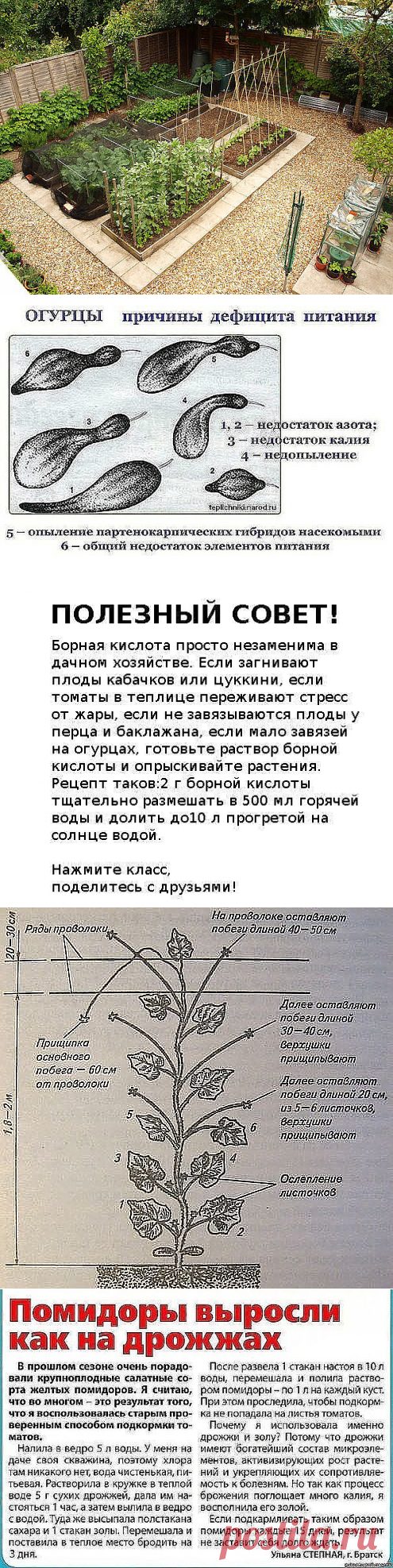 Одноклассники