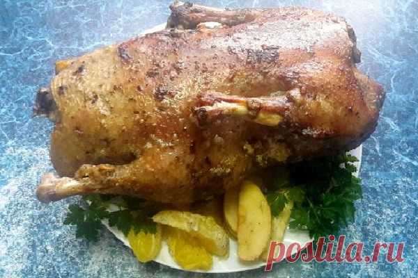 Утка с апельсином и яблоками — Сад Заготовка