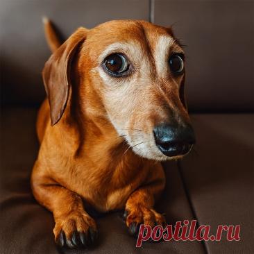 Запасная хозяйка - Готовим так!