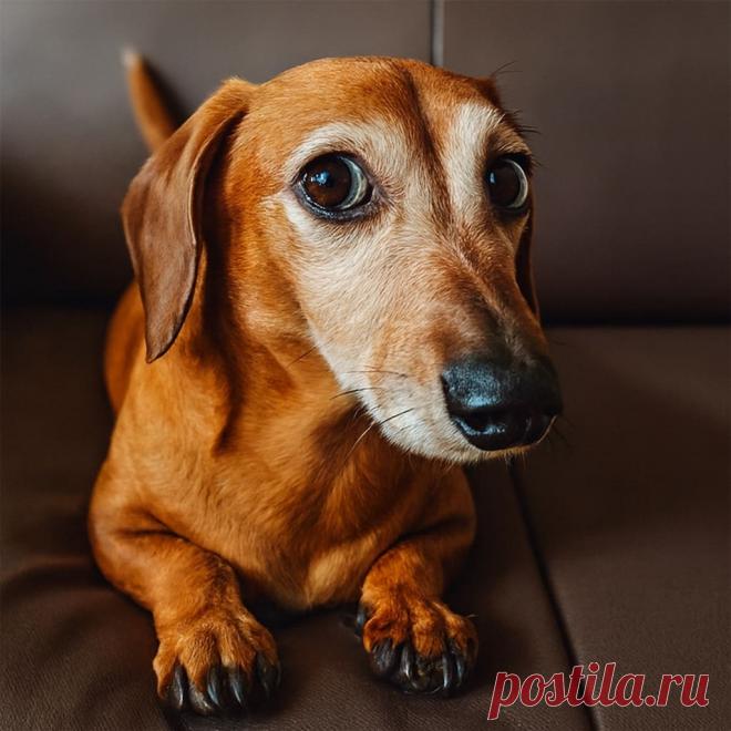 Запасная хозяйка - Готовим так!