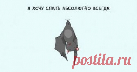 Открытки для тех, кто вечно хочет спaть — Убойный юмор - amworld