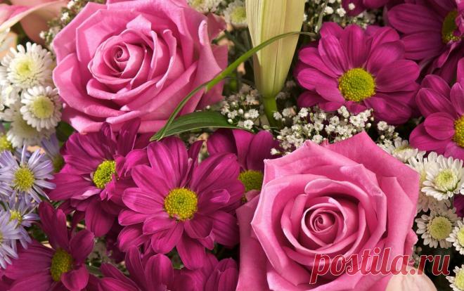 Обои Букеты Цветы - Фото : 273460