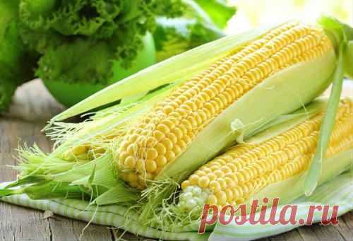 Маринованная кукуруза в початках на зиму - рецепты