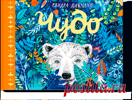 Чудо (Сандра Дикманн, Мария Скаф) — купить в МИФе Книга, открасоты которой захватывает дух. Бумажная. Читать отзывы и скачать главу.