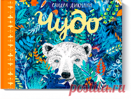 Чудо (Сандра Дикманн, Мария Скаф) — купить в МИФе Книга, открасоты которой захватывает дух. Бумажная. Читать отзывы и скачать главу.