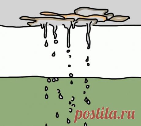 10 признаков того, что в доме появилась плесень