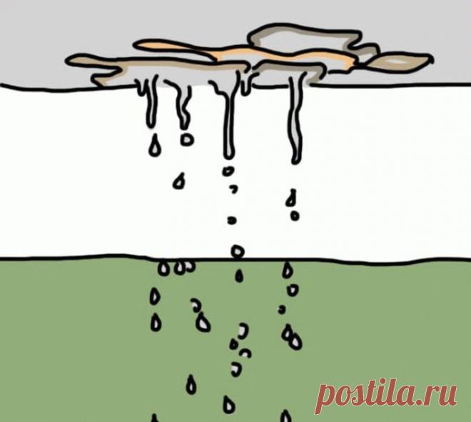 10 признаков того, что в доме появилась плесень