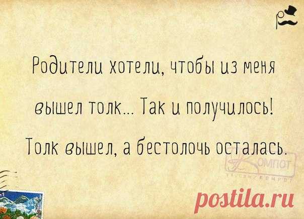 Веселая правда жизни в словах со смыслом