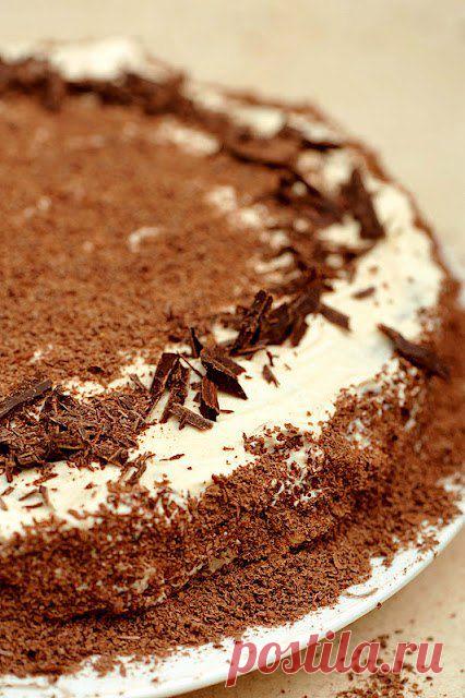 Торт «Мокко» | Рецепты — просто и со вкусом