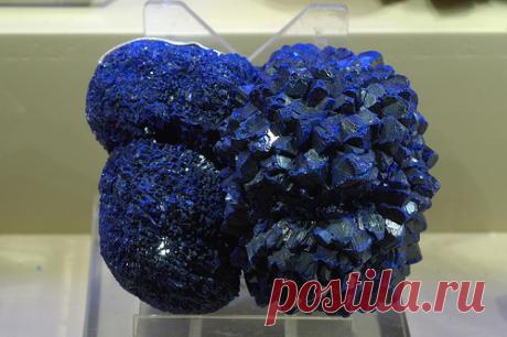 Survival of the Strangest