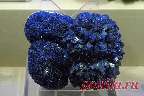 Survival of the Strangest