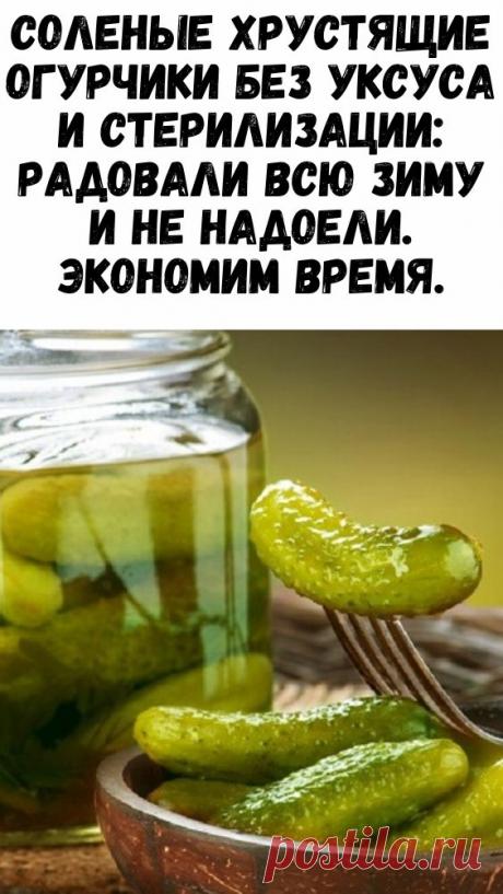 Соленые хрустящие огурчики без уксуса и стерилизации: радовали всю зиму и не надоели. Экономим время