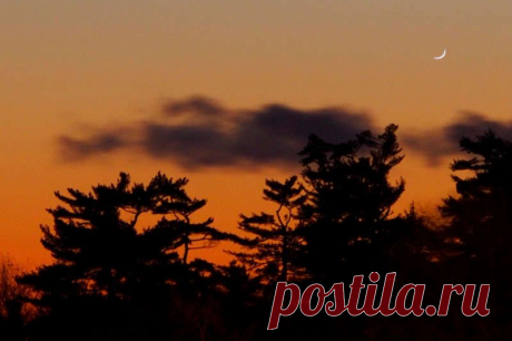 Над западным горизонтом на закате виден полумесяц, но это не молодая Луна. Это – Венера в фазе полумесяца. Она была запечатлена с помощью длиннофокусного телеобъектива из города Квебек в Канаде на планете Земля холодным вечером 30 декабря. Каждый день яркий небесный маяк опускается все ниже в сияние сумеречного неба.