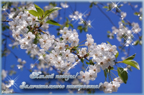 Плейкаст «С ХОРОШИМ ДНЕМ!!!»
