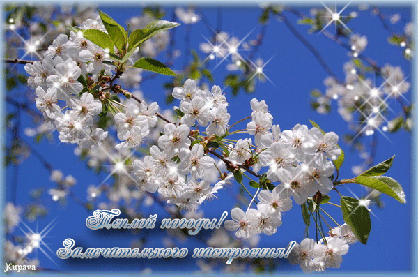 Плейкаст «С ХОРОШИМ ДНЕМ!!!»
