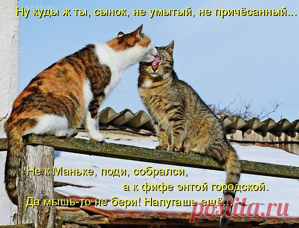 Интересные новости
