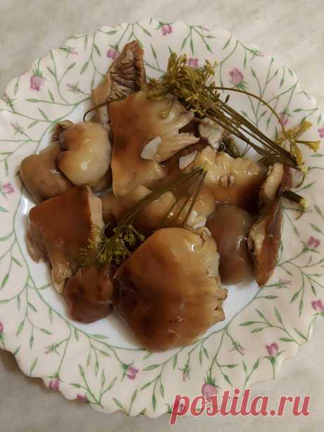 Грибники, давайте квасить! Мой рецепт квашеных валуёв | грибной критик | Яндекс Дзен