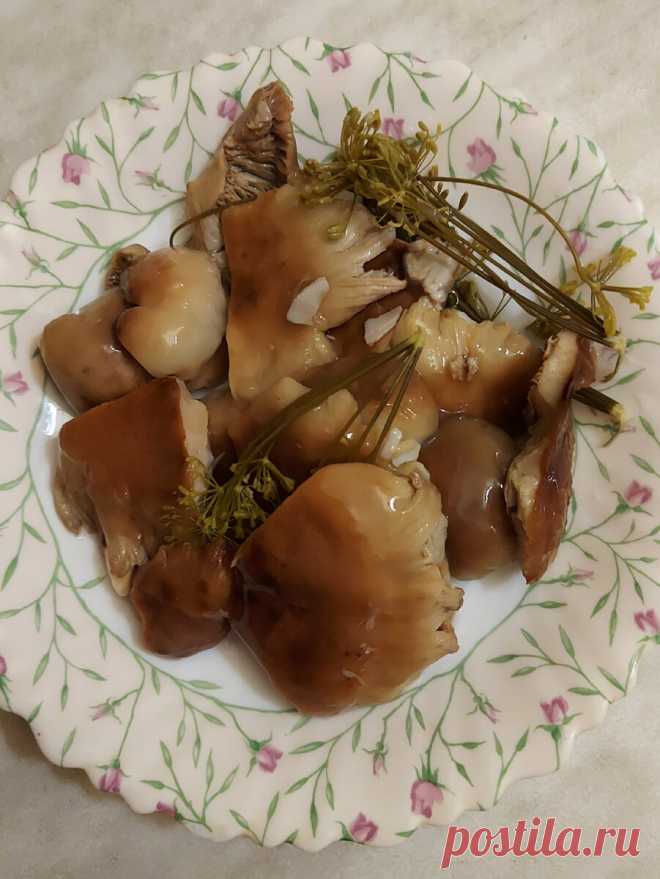 Грибники, давайте квасить! Мой рецепт квашеных валуёв | грибной критик | Яндекс Дзен