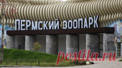 В Пермский зоопарк перевезут спасённого во Владивостоке гималайского медведя. Гималайский медвежонок, которого выходили в центре реабилитации во Владивостоке, перевезут в новый Пермский зоопарк. Читать далее