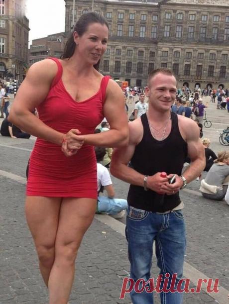 ШоубиZZZ - всё о звёздах