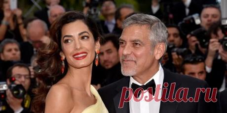 Джордж Клуни появился на премьере своего фильма в компании беременной жены: Яндекс.Новости