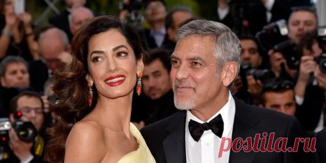 Джордж Клуни появился на премьере своего фильма в компании беременной жены: Яндекс.Новости