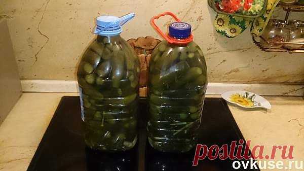 Соленые огурцы (как из бочки) в пластиковой бутылке